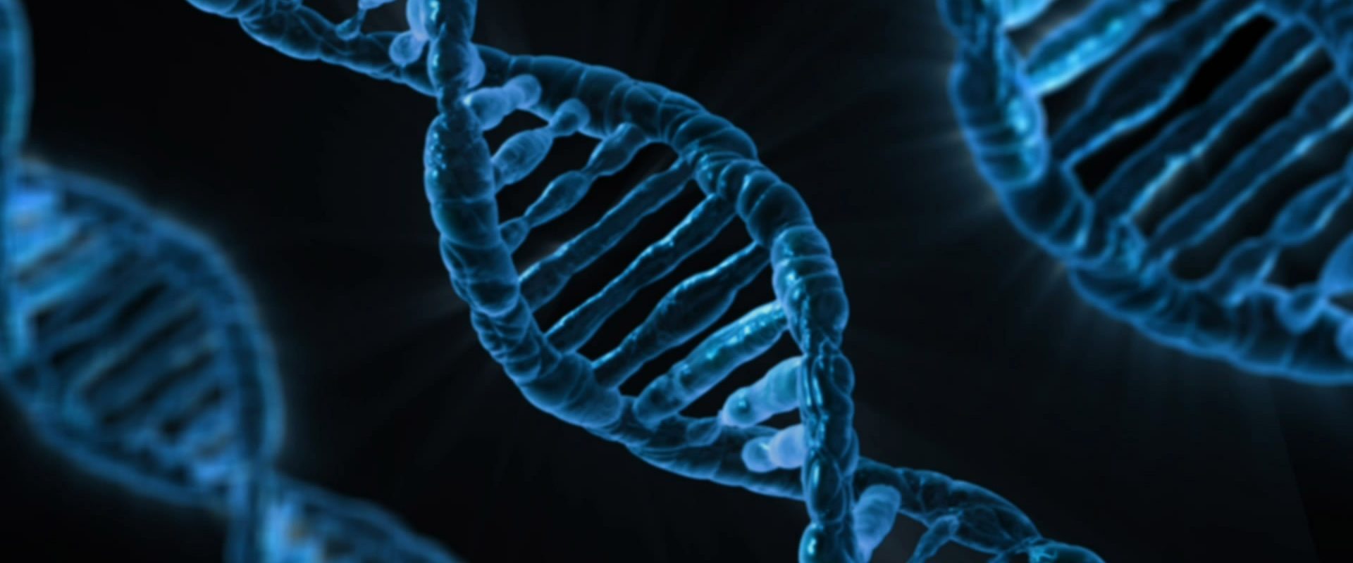Corso perfezionamento Bioetica