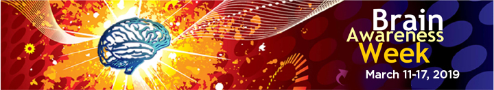 BAW_2019_Header