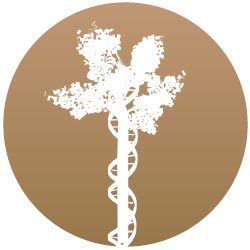 bioetica-news-torino-logo-e1491303031225