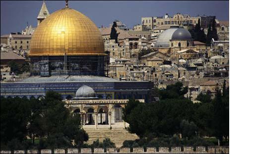 mosquea