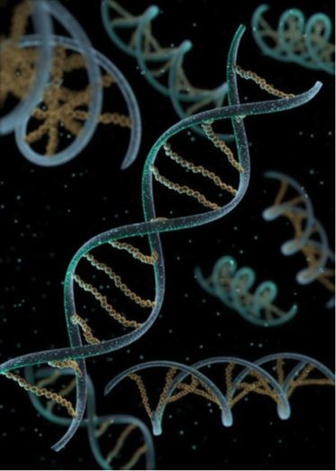 dna