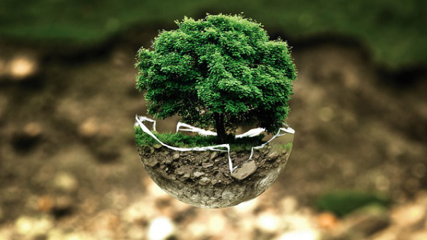 ecologia