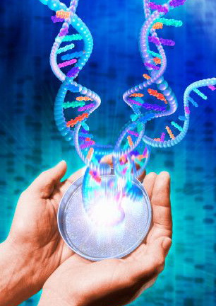 genetica_manip