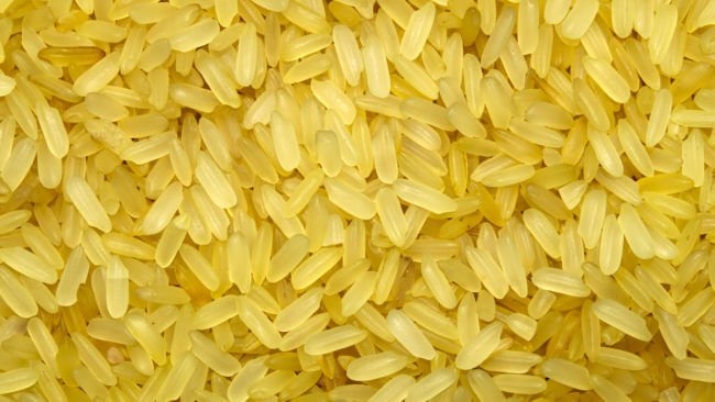 golden_rice2