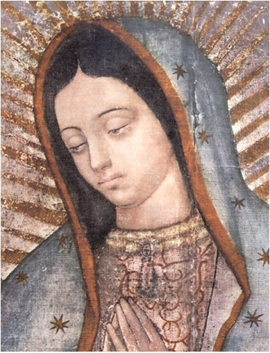 guadalupe1