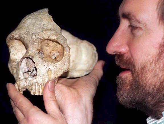 neanderthal