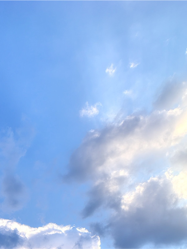 DAFSF_2025_Slider sito